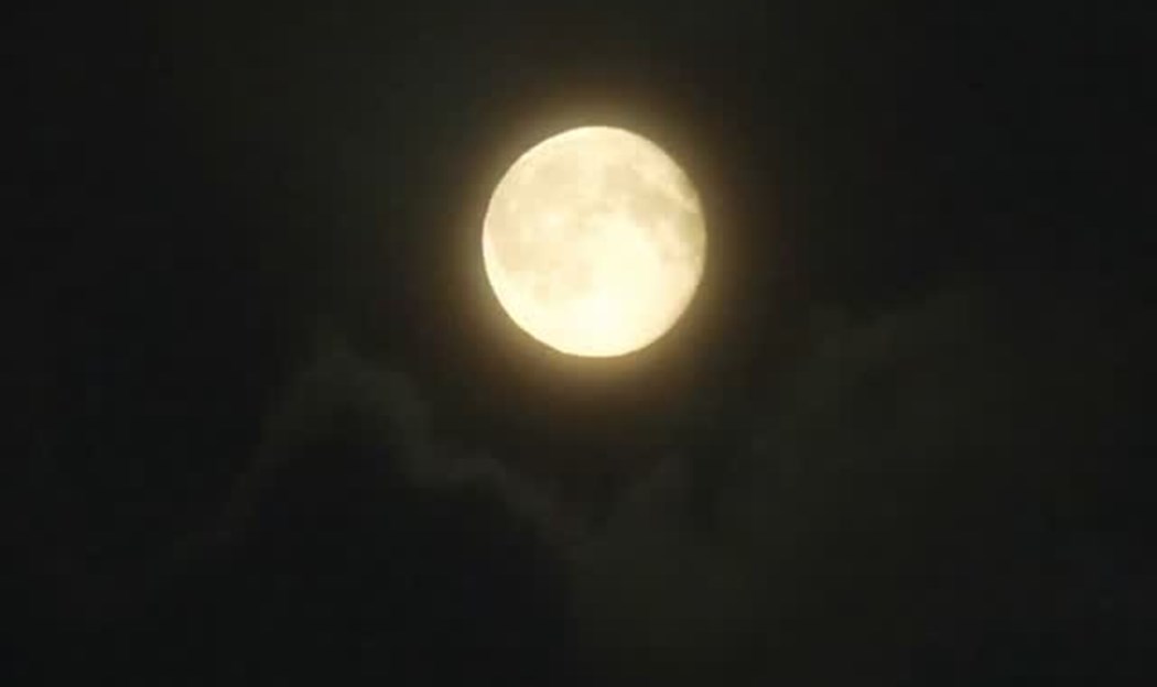 Trening 🇲🇪 pred utakmicu sa 🇫🇴 ✅️