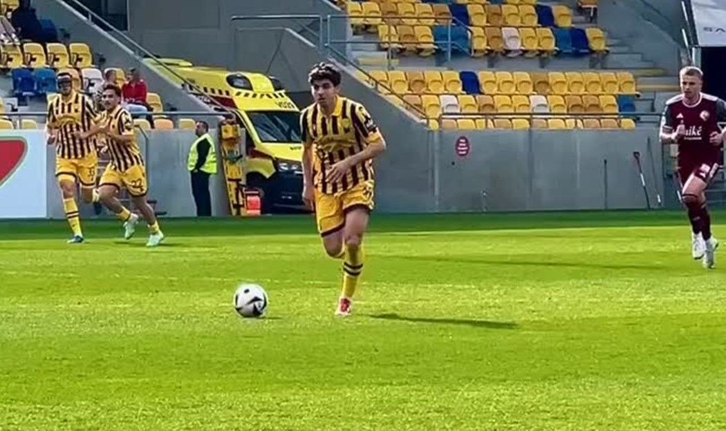 Dunajska Streda ima klimu koja prija našim...