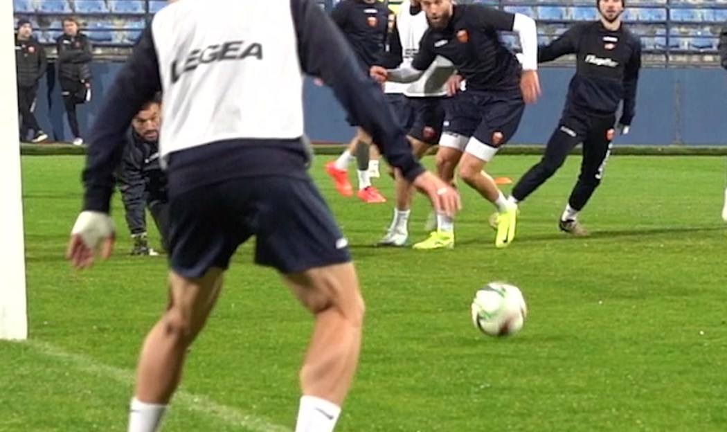 Brusimo napadačke poteze i opcije. Pas u pravom...