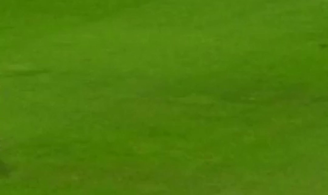 Dan kad su "hrabri sokoli" ukrotili "tri lava"...