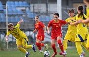 galleryimg15584